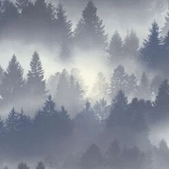 Barbara Becker Tapete Bb Wald Blau Grau 860832