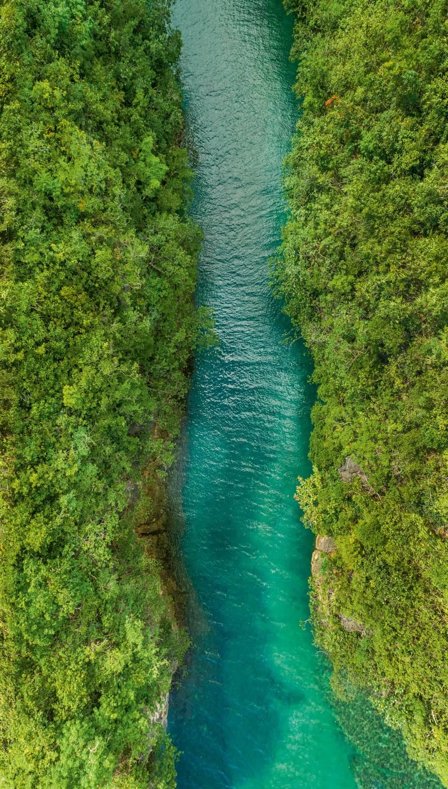 Digitaldruck Landschaft Fluss Blau Grün ML1401 – Bild 2