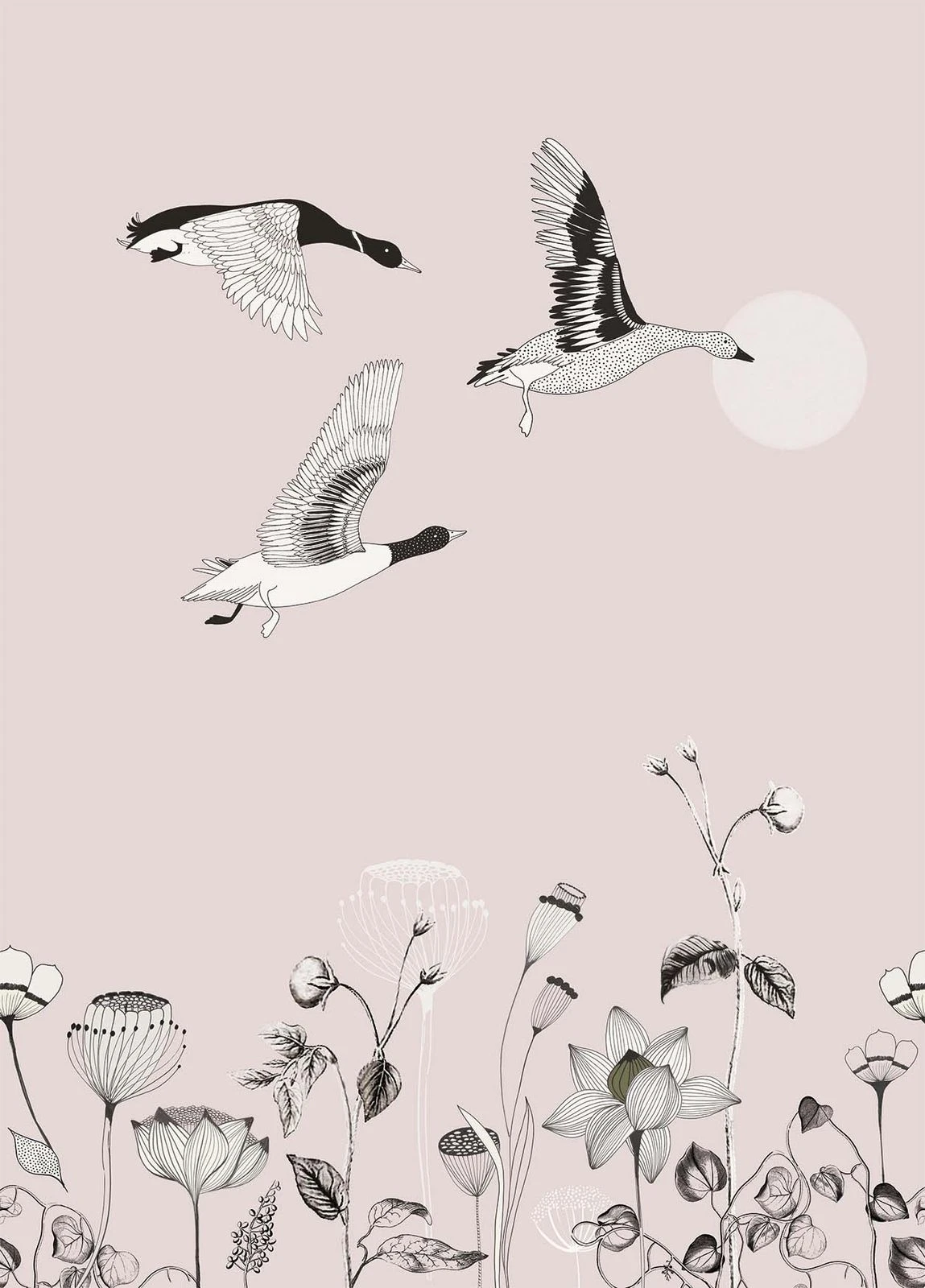 Fototapete Natur Blumen Floral Rosa Schwarz Onszelf 532012 – Bild 2