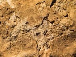 Fototapete Rasch Daniel Geier Fels Stein Braun 101072