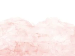 Fototapete Rasch Leo La Douce Kontinente Rosa 100563