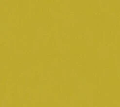 Vlies Tapete Uni Design Grün Architects Paper 33372-1