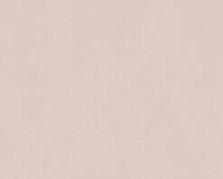 A.S. Creation Vliestapete Einfarbig Beige 3091-50